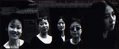 20080303-cobra Chines rock n roll.jpg